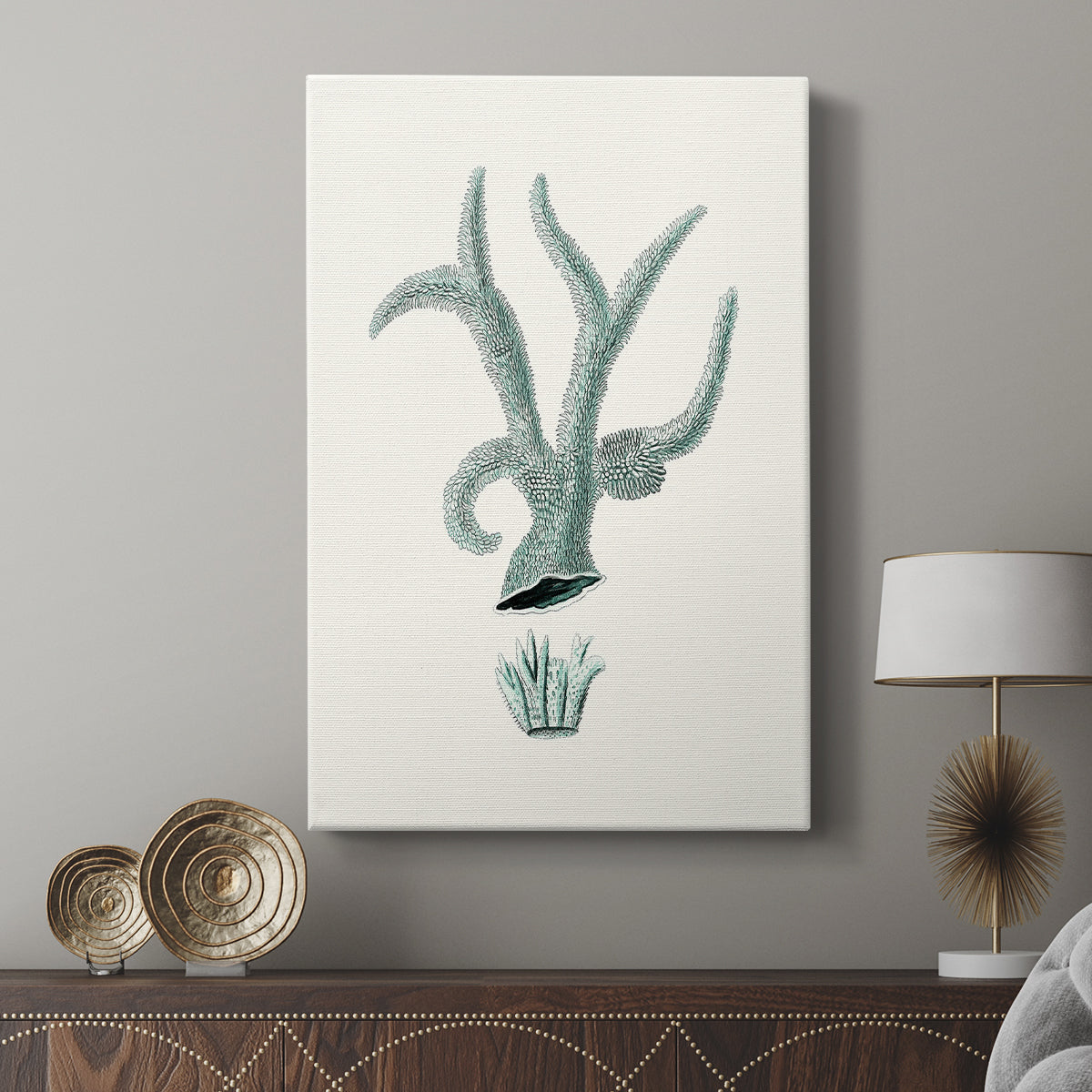 Antique Coastal Coral XII - Canvas Art Print