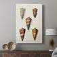 Cone Shell Collection II - Canvas Art Print