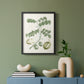 Buchoz Tropicals II - Restickable Framed Art Print