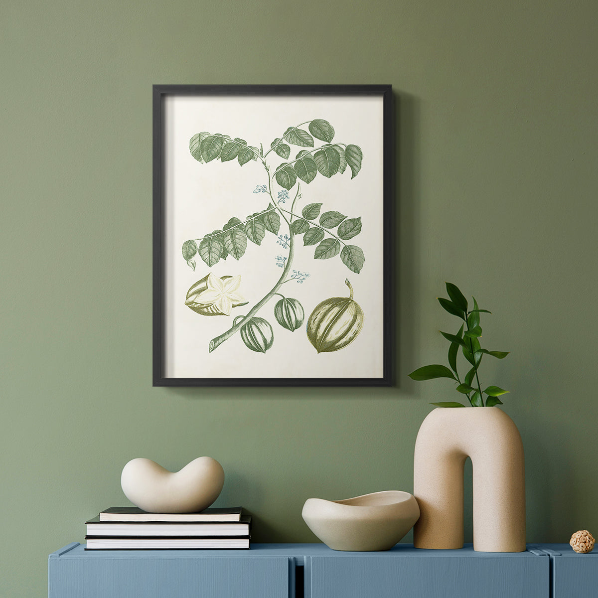 Buchoz Tropicals II - Restickable Framed Art Print
