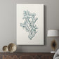 Antique Coastal Coral IV - Canvas Art Print