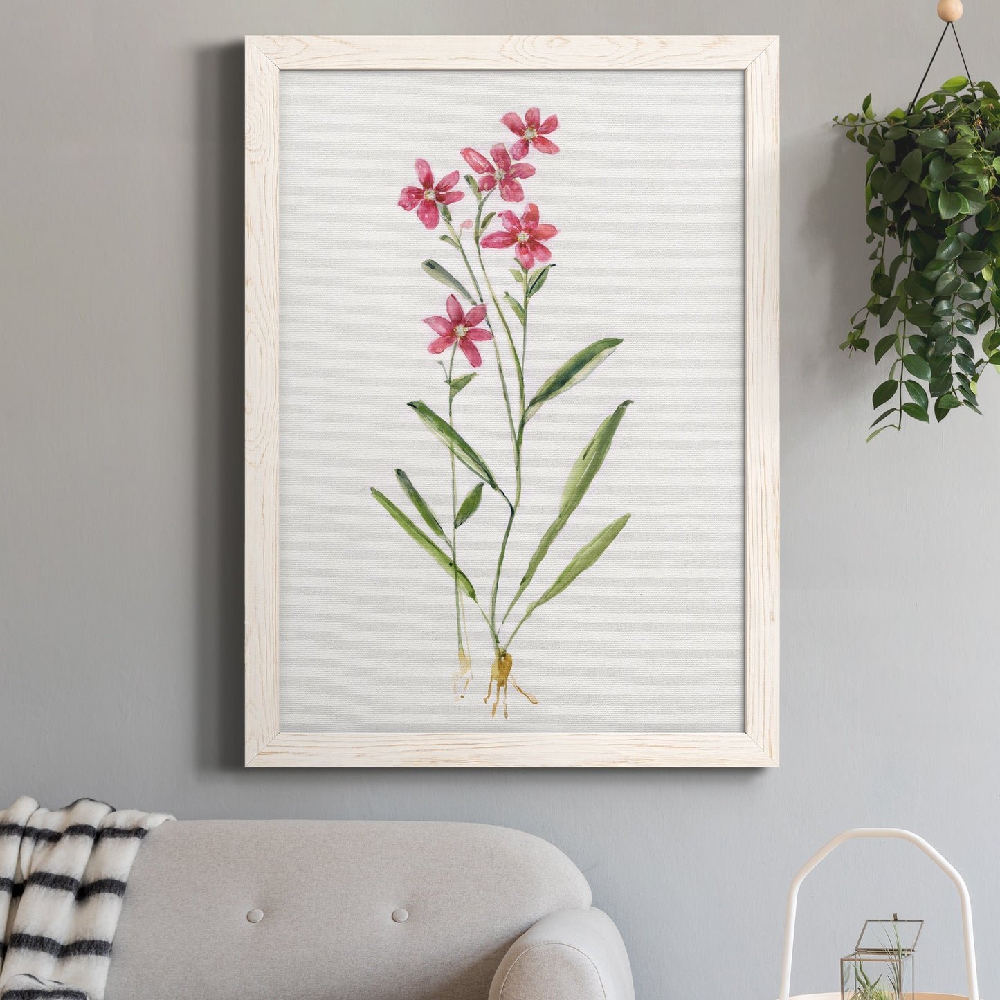 Delicate Pink II - Premium Canvas Framed in Barnwood - Ready to Hang