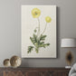 Flowers of the Seasons XII - Canvas Art Print