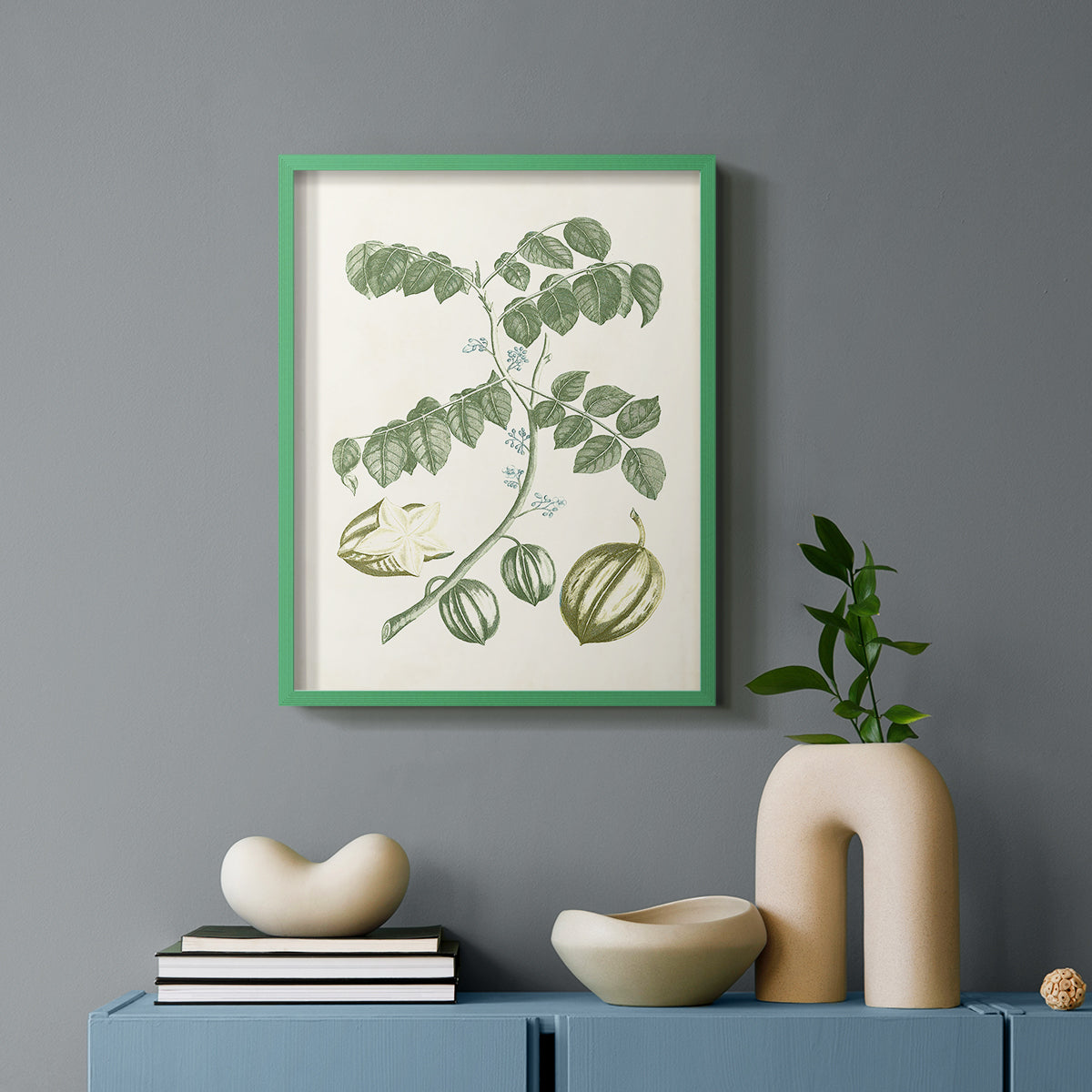 Buchoz Tropicals II - Restickable Framed Art Print
