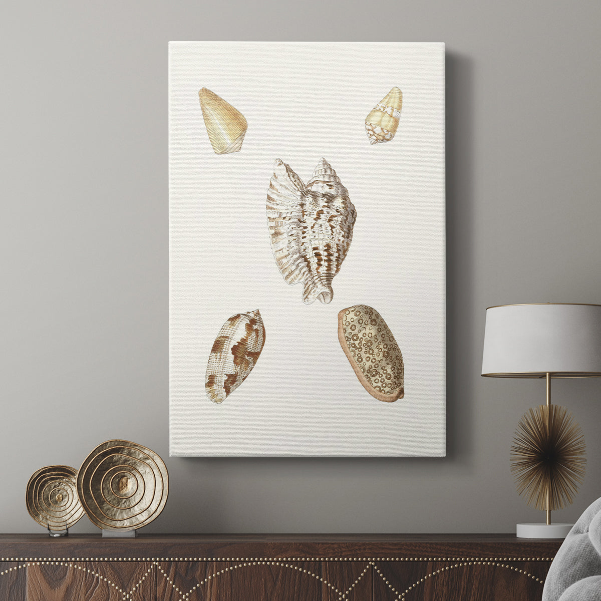 Pastel Knorr Shells VI - Canvas Art Print