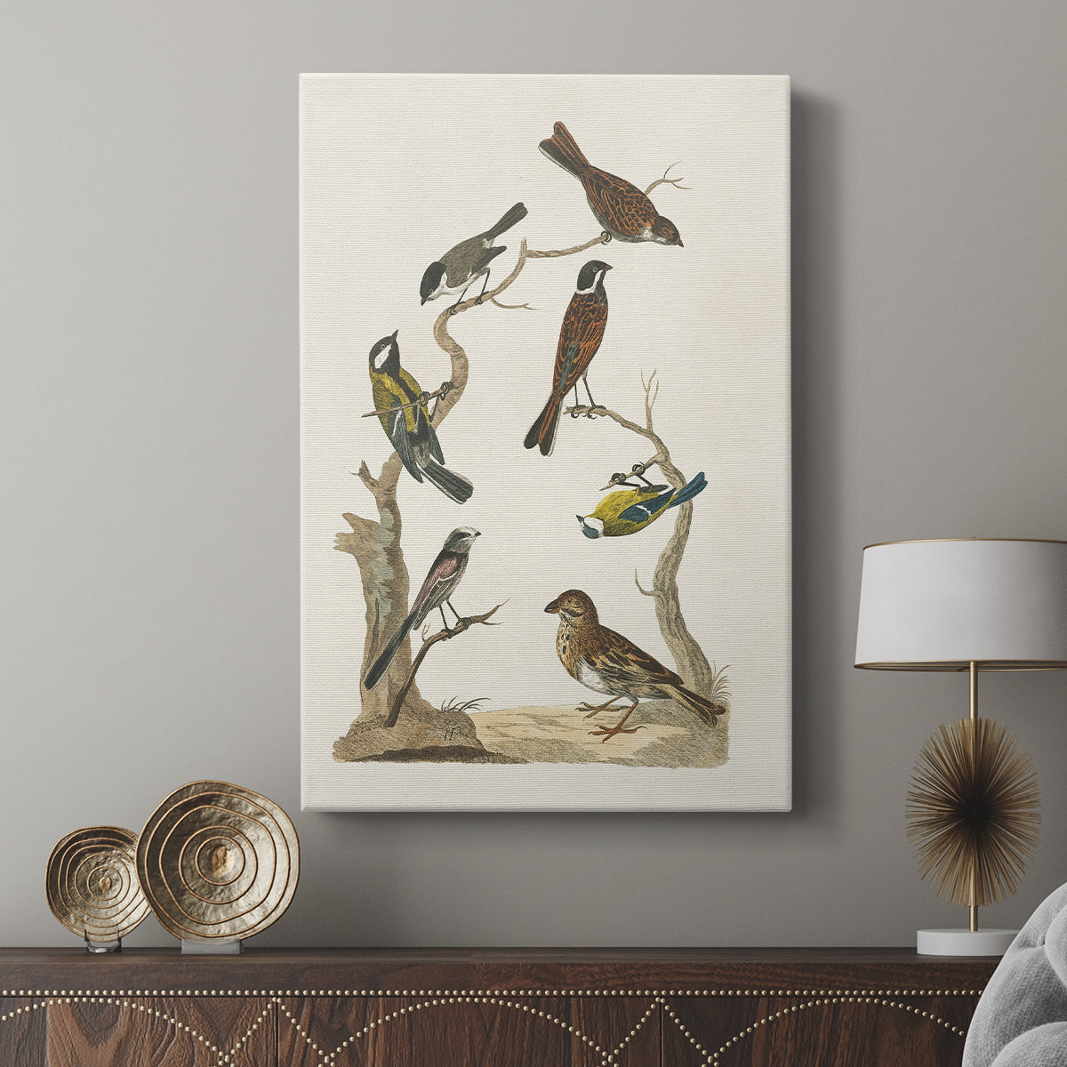 Antique Birds in Nature II - Canvas Art Print