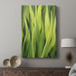 Blades of Grass II - Canvas Art Print