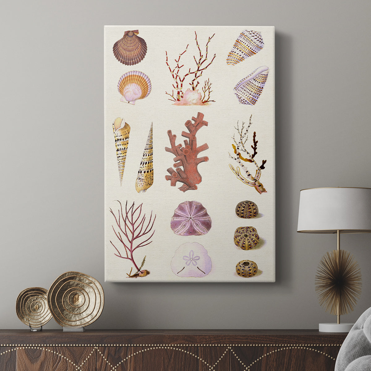 Coral & Shell Collage II - Canvas Art Print