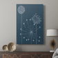 Graphic Alliums I - Canvas Art Print