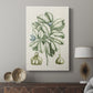 Buchoz Tropicals IX - Canvas Art Print