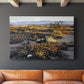 Anza Borrego Desert - Canvas Art Print