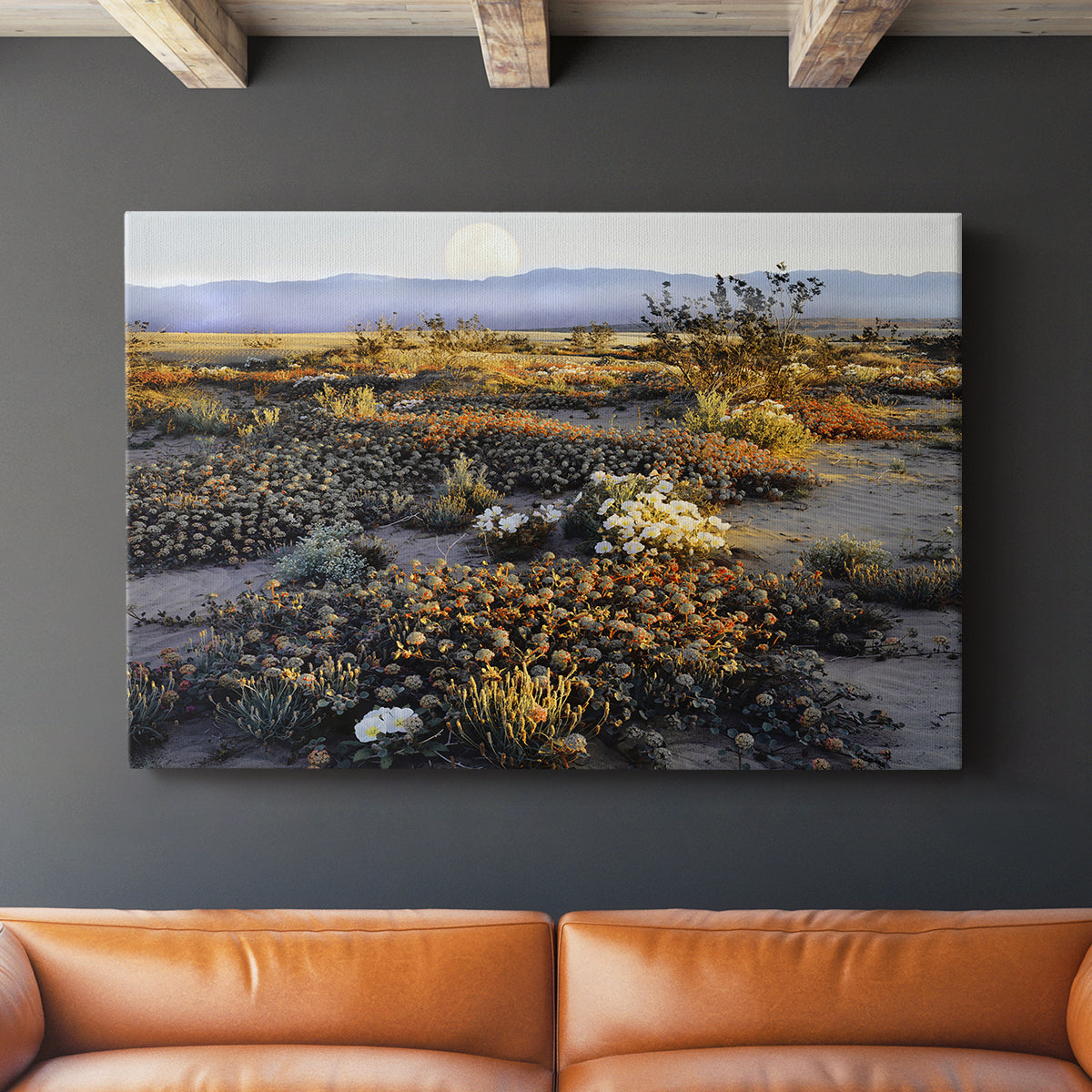 Anza Borrego Desert - Canvas Art Print