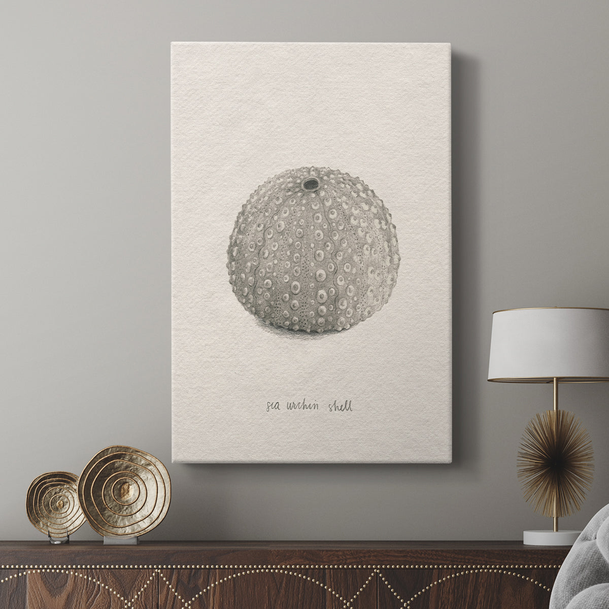 Shore Treasure Study I - Canvas Art Print
