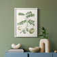 Buchoz Tropicals II - Restickable Framed Art Print