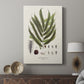 Botanical Society Ferns II - Canvas Art Print