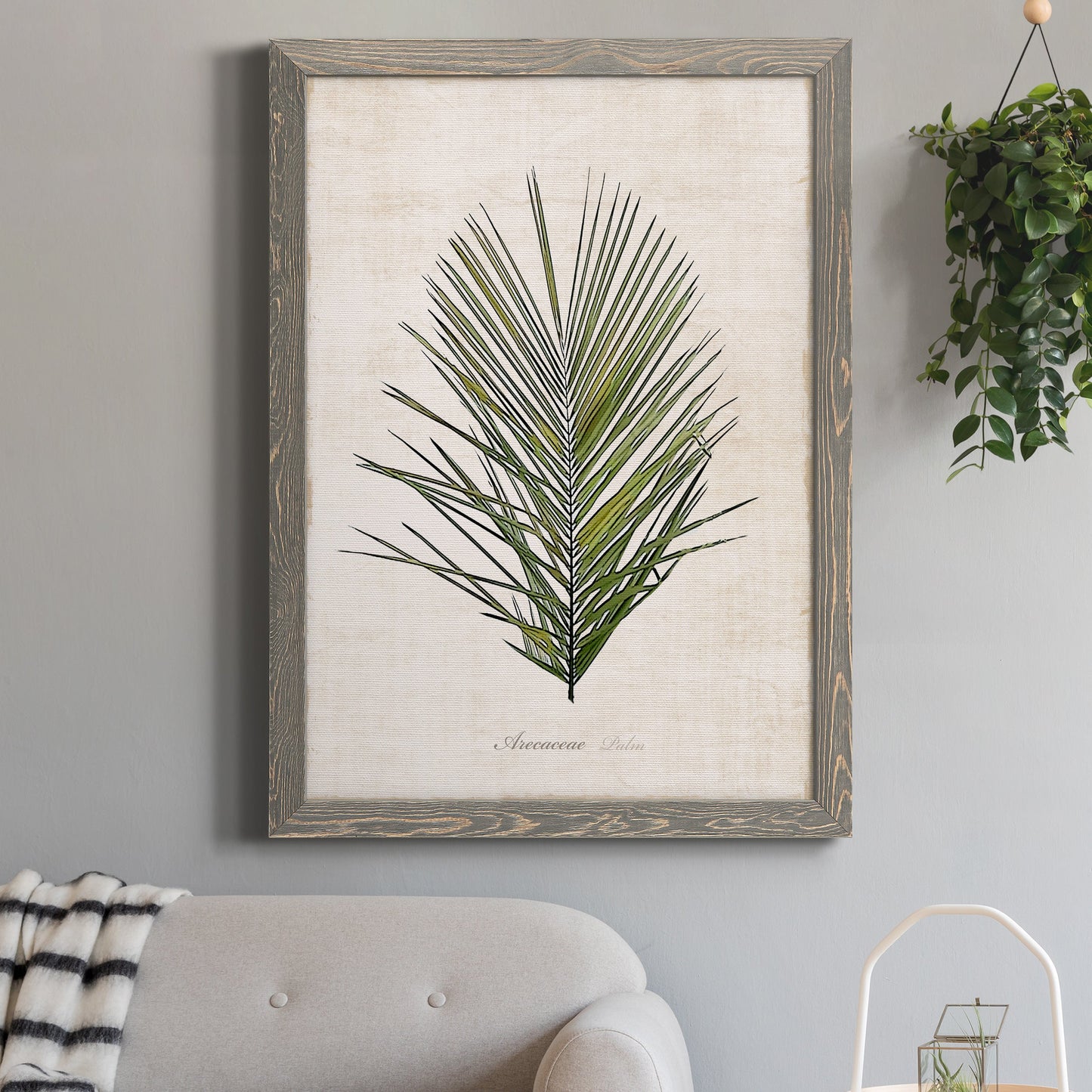 Palm Botanical I - Premium Canvas Framed in Barnwood - Ready to Hang