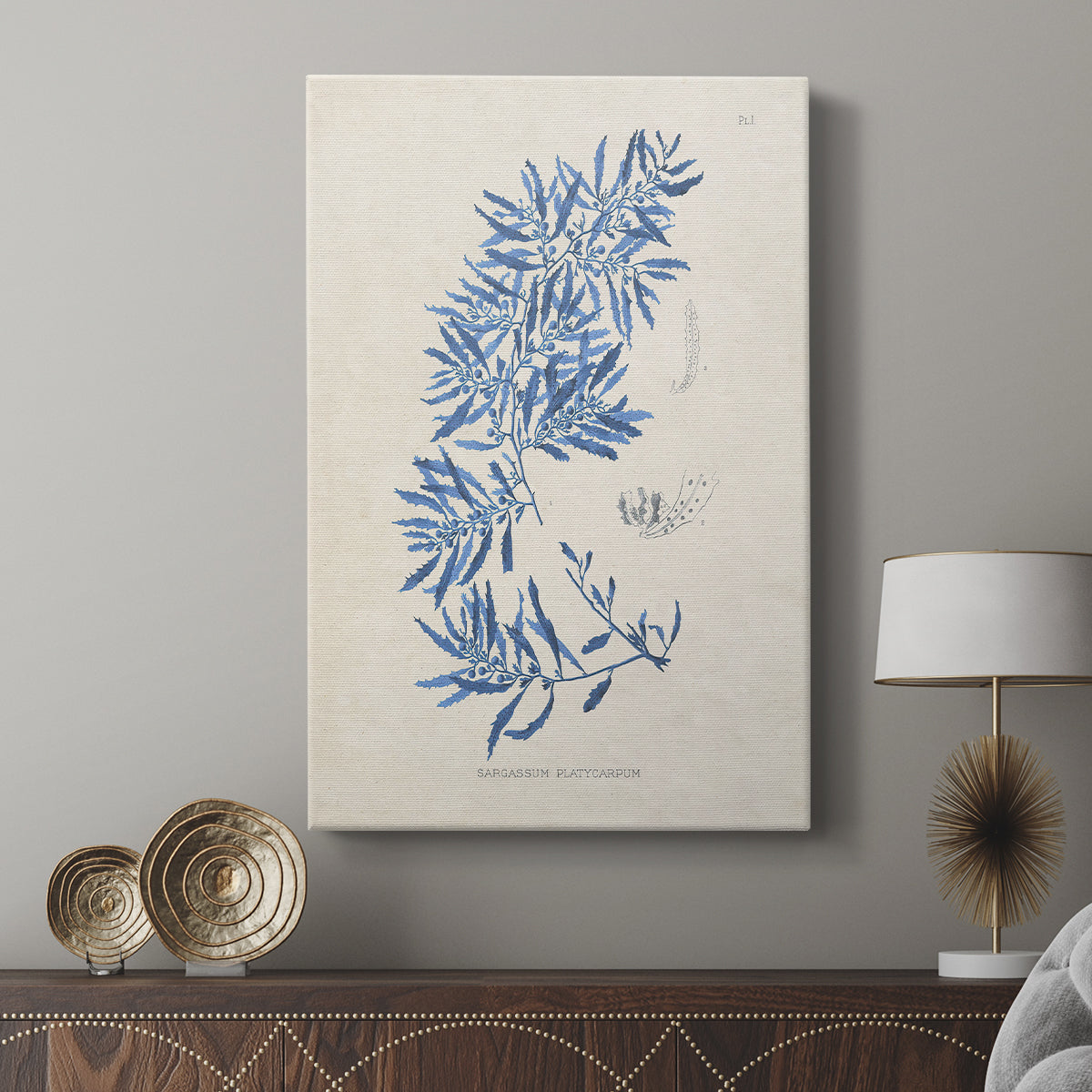 Blue Marine Algae III - Canvas Art Print