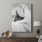 Island Pony II - Canvas Art Print
