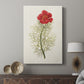 Flowers of the Seasons VII - Canvas Art Print