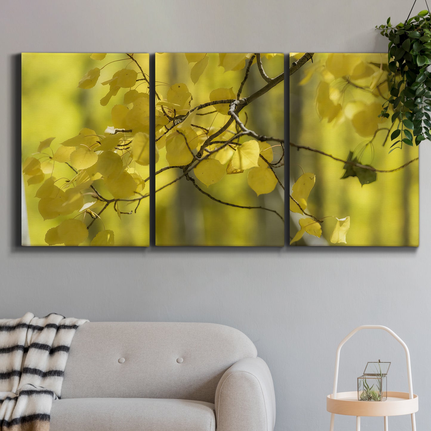 Three-panel canvas wall art featuring backlit aspen trees photograph, displayed in a modern living room above a sofa.