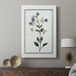 Shabby Chic Botanical II - Canvas Art Print