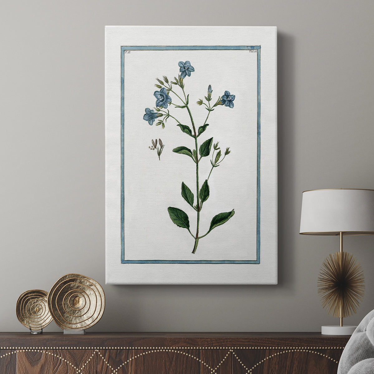 Shabby Chic Botanical II - Canvas Art Print