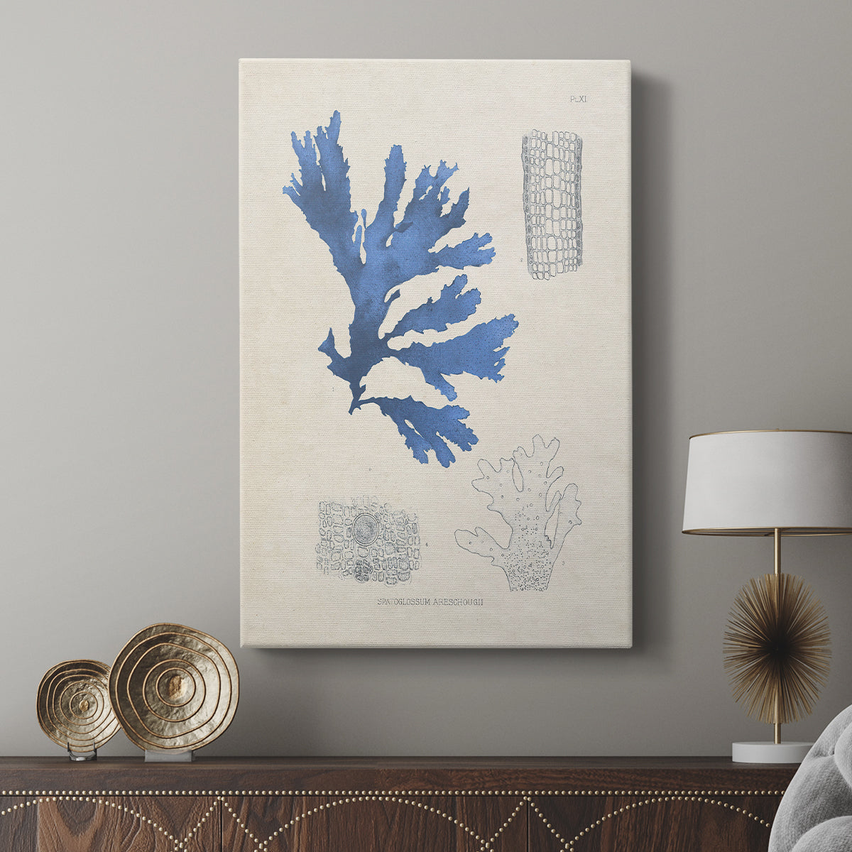 Blue Marine Algae VIII - Canvas Art Print