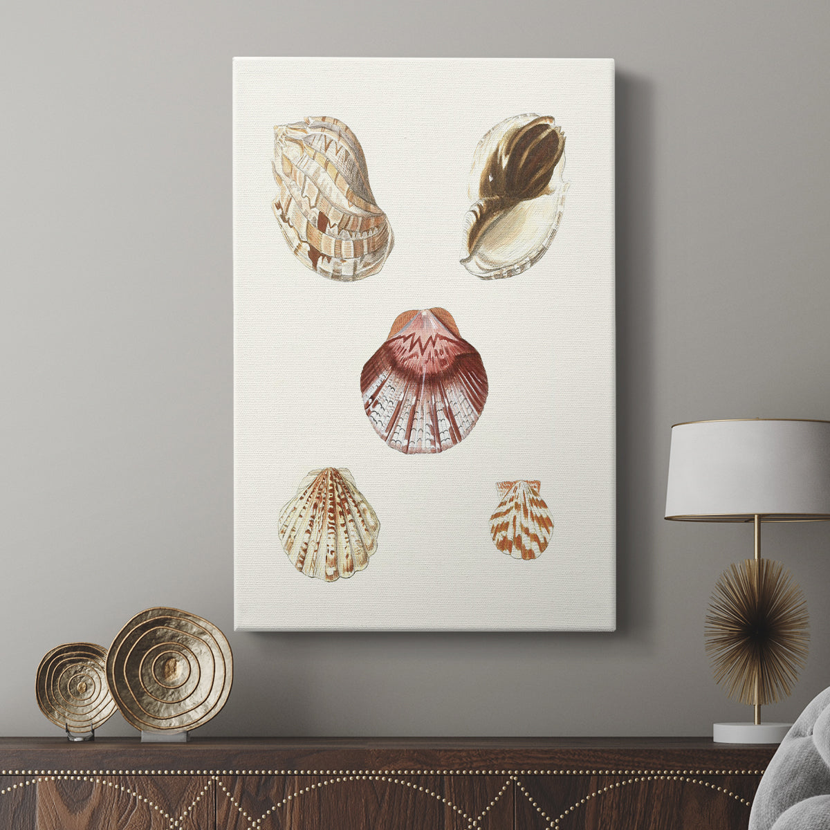 Pastel Knorr Shells V - Canvas Art Print