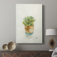 Succulent II - Canvas Art Print