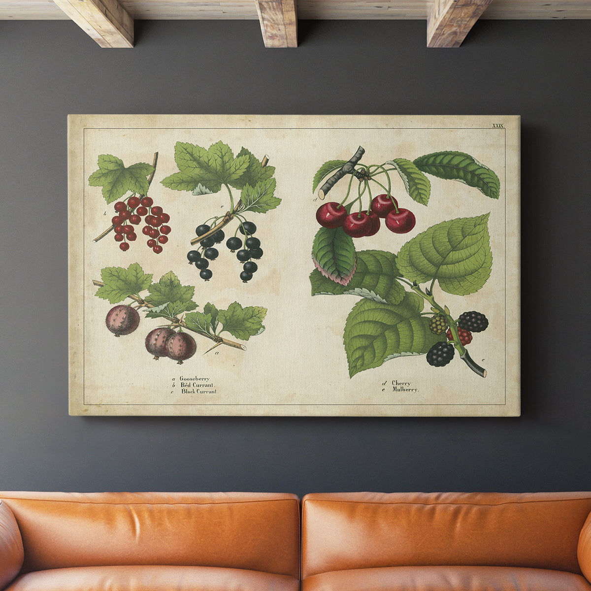 Berries and Currants - Canvas Art Print