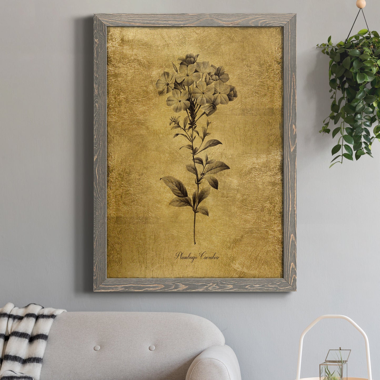 Gold Sketch Botanical II - Premium Canvas Framed in Barnwood - Ready to Hang