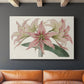 Amaryllis Varietals I - Canvas Art Print