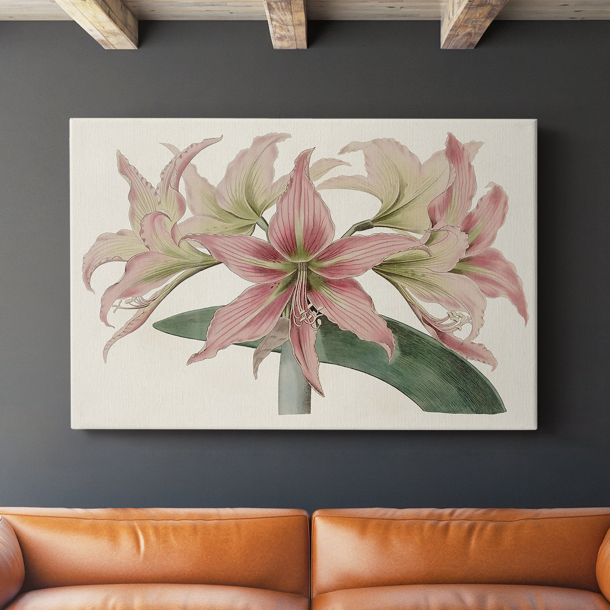 Amaryllis Varietals I - Canvas Art Print