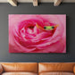 Hanging On VIII - Canvas Art Print