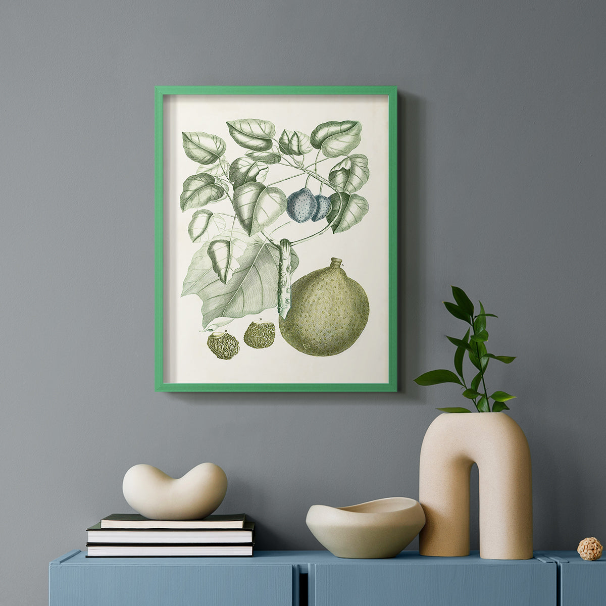 Buchoz Tropicals VIII - Restickable Framed Art Print