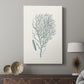 Antique Coastal Coral I - Canvas Art Print