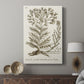 Sepia Botanical Journal I - Canvas Art Print