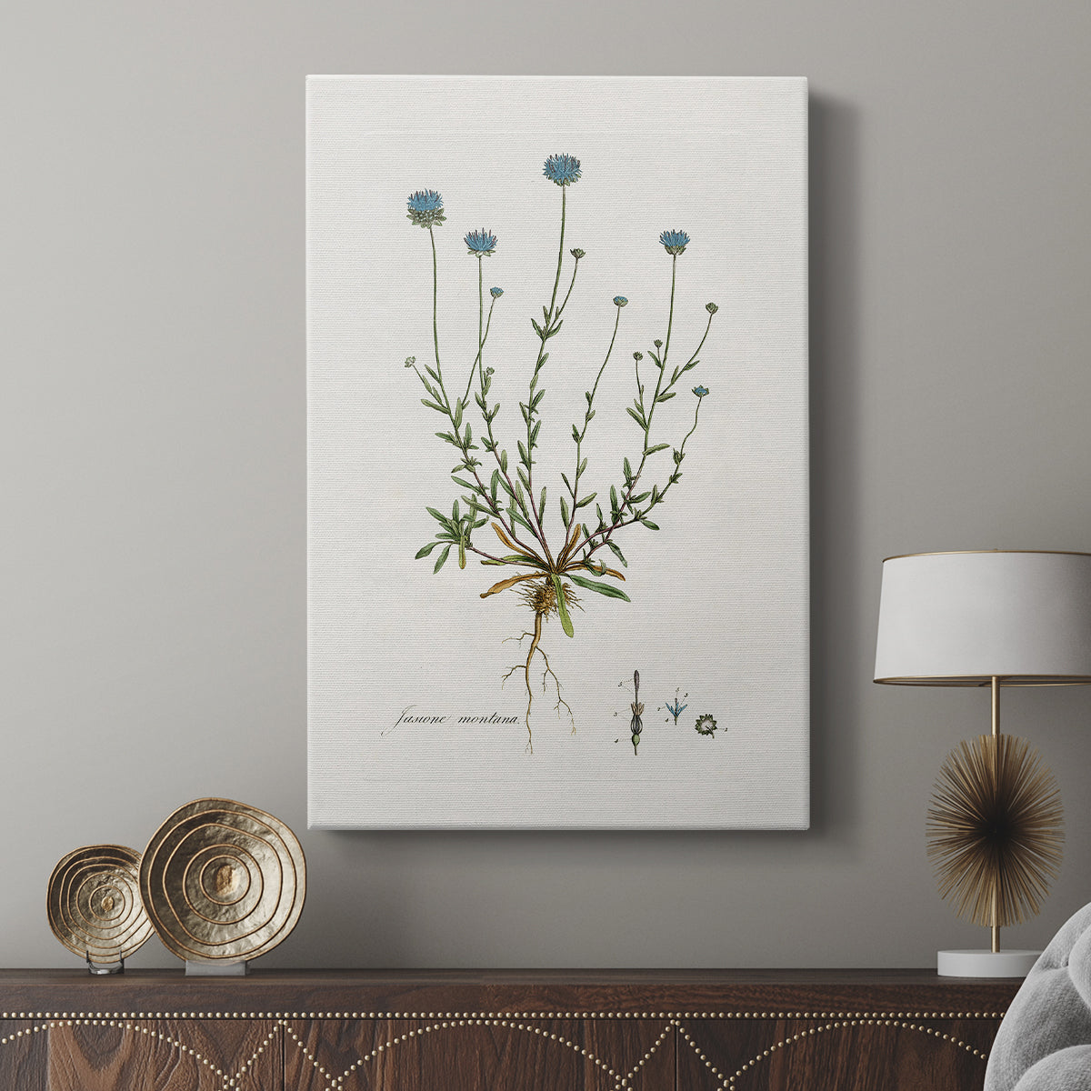 Bellflower Study - Canvas Art Print