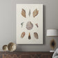 Knorr Shells & Coral VI - Canvas Art Print