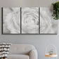 Three-panel canvas wall art featuring monochrome rose study photograph, displayed in a modern living room above a sofa.