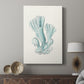 Antique Coastal Coral XI - Canvas Art Print