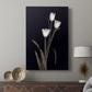 Tulip Pose I - Canvas Art Print
