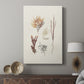 Knorr Shells & Coral VII - Canvas Art Print