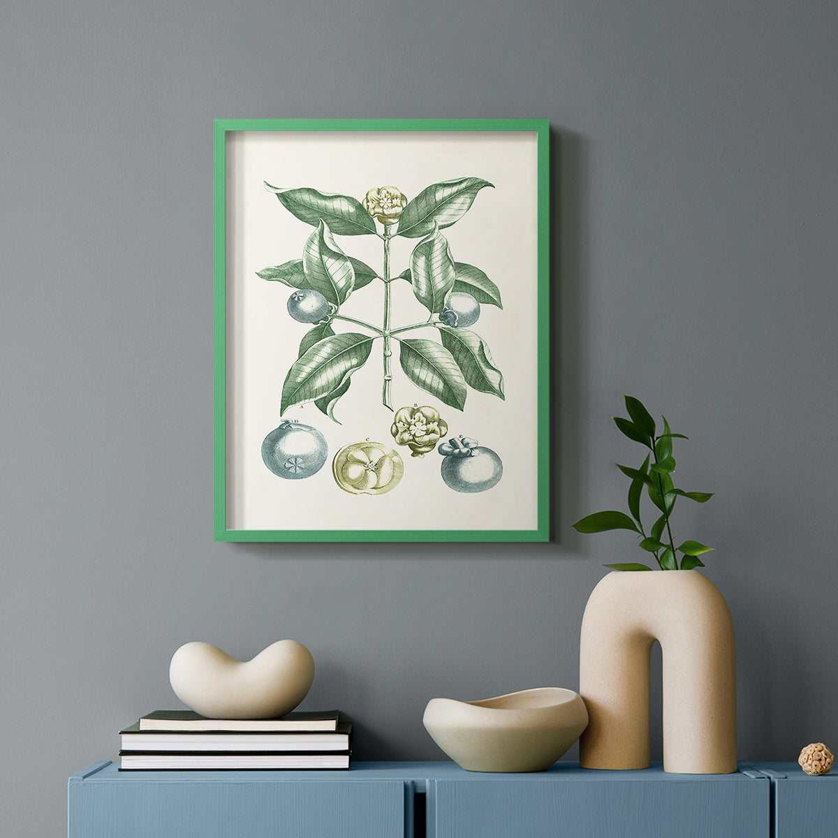 Buchoz Tropicals VII - Restickable Framed Art Print