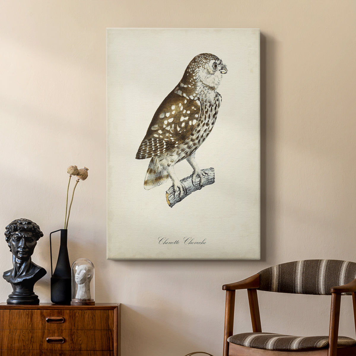 French Owls I - Canvas Art Print