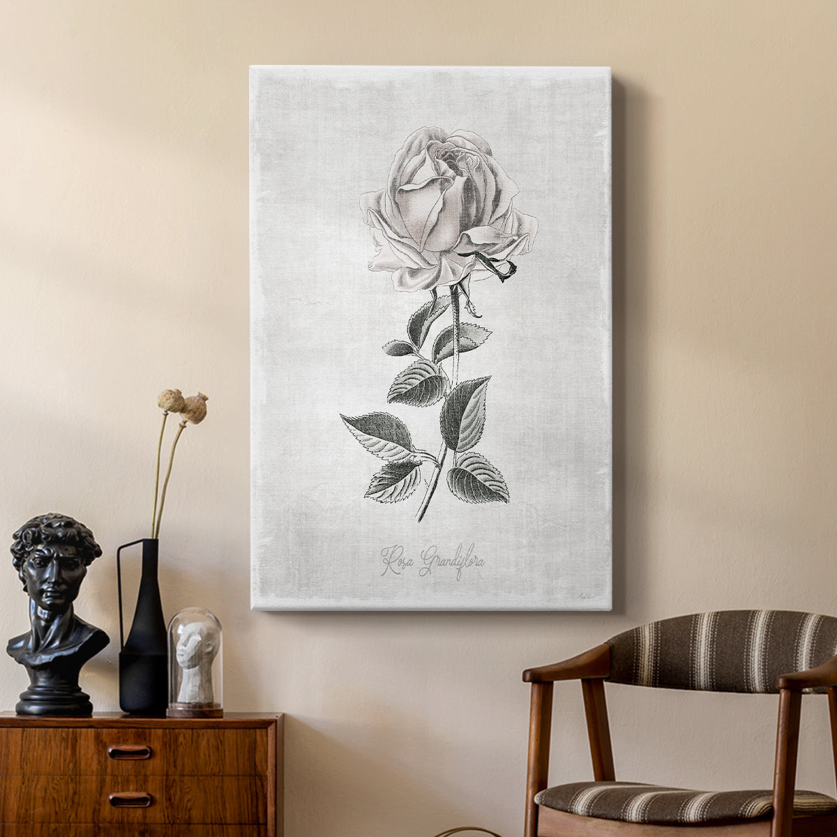 Vintage Botanical II - Canvas Art Print