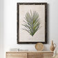 Palm Botanical I - Premium Canvas Framed in Barnwood - Ready to Hang