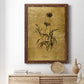 Gold Sketch Botanical I - Premium Canvas Framed in Barnwood - Ready to Hang