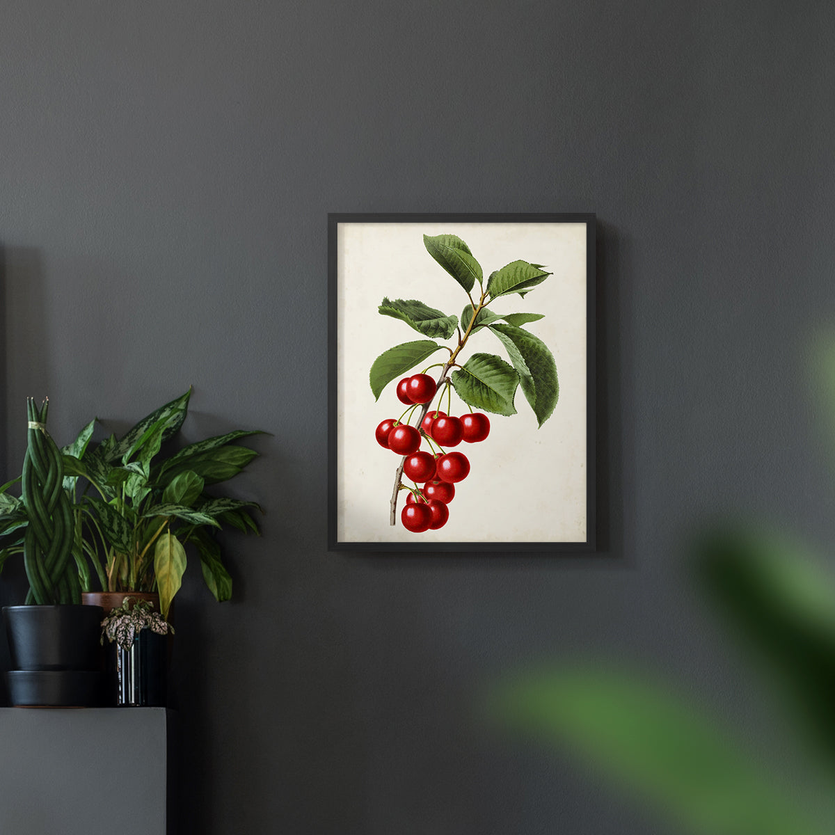 Antique Fruit II - Restickable Framed Art Print