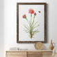 Wildflower Botanical III - Barnwood Framed Canvas Print